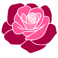 Rose Flower