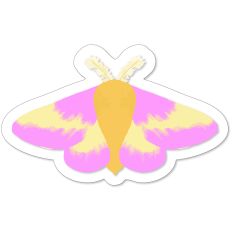Rosy Maple Moth