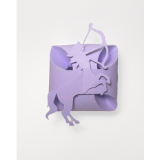 Sagitarius, Zodiac Sagitarius Petal Gift Box