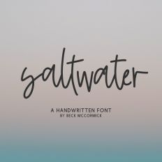 Saltwater Script Font