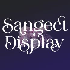 Sangect Display