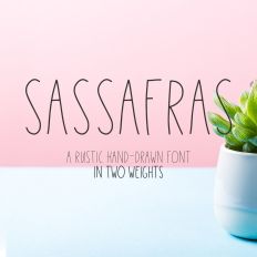 Sassafras Sans Duo - Regular and Bold
