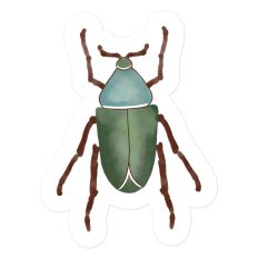 Jewel Scarab