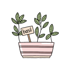 basil plant sticker