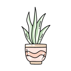 aloe vera plant sticker