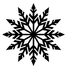 Snow flake