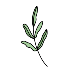 cute whimsical leaf sticker