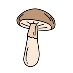 cute vintage mushroom