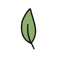 cute simple vintage leaf sticker 6