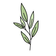 cute simple hand-drawn green leafy branch sticker