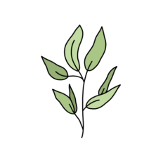 vintage green leafy branch 3