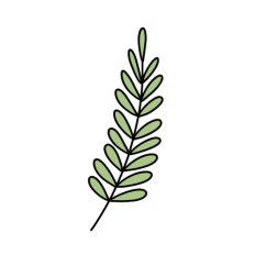 vintage green leafy branch 2