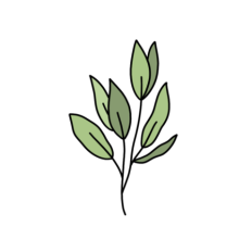 vintage green leafy plant 1