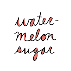 cute fun watermelon sugar kawaii text sticker