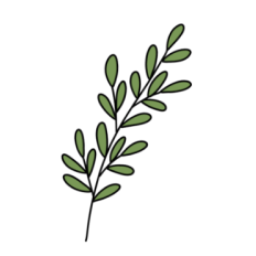 cute fun dark green leafy plant branch sticker