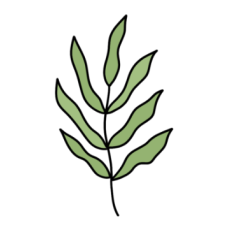 cute whimsical flowy leafy green branch sticker
