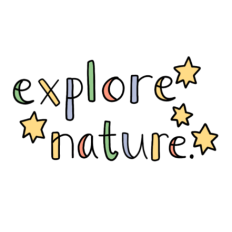 cute kawaii explore nature stars journal sticker