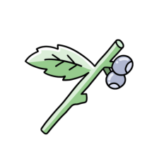 cute kawaii blueberry journal sticker