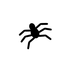 Mr. Spider