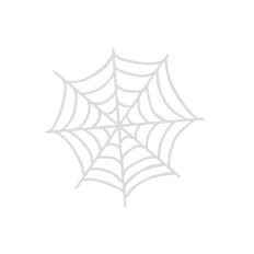 Spider Web