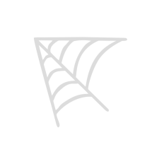 Spider Web Section