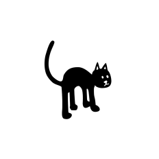 Scaredy Cat