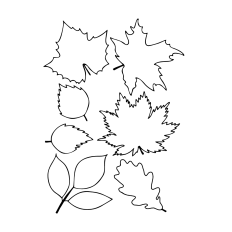 Fall Leaves Printable