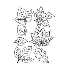 Leaves With Veins Printable