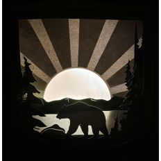 6 Layer Rustic Bear Shadow Box