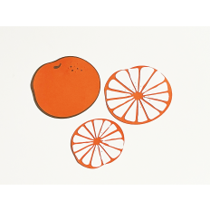 Orange and Citrus slices Layered SVG