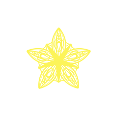 Lacey Star Ornament 5