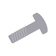 Screw