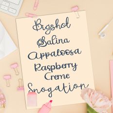 Script Time Font Bundle