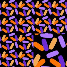 Black Background Halloween Sprinkles Pattern