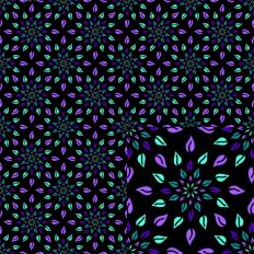 Geometric Flowers in the Dark