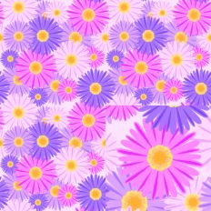 Pinks and Purples Asters Seamless Surface Pattern SVG