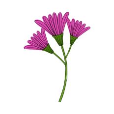 Multiple Flower Stem Fuchsia Flowers Print and Cut
