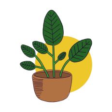 Hand Drawn Potted Plant Print and Cut SVG File