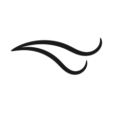 Swirl Flourish Underline