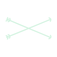 Crossed Arrows