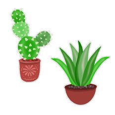Pair of Succulents 