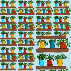 Shelves of Potted Plants 