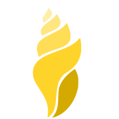 Sea Shell