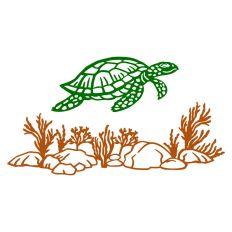 Sea turtle