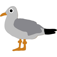 Summer Seagull