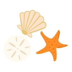 Seashel, Starfish, Sand dollar grouping 01