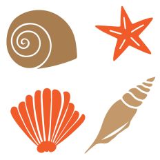 Sea Shells Four Designs 