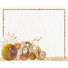 Sea Shells Card 