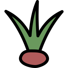 Seedling