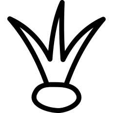 Seedling Outline